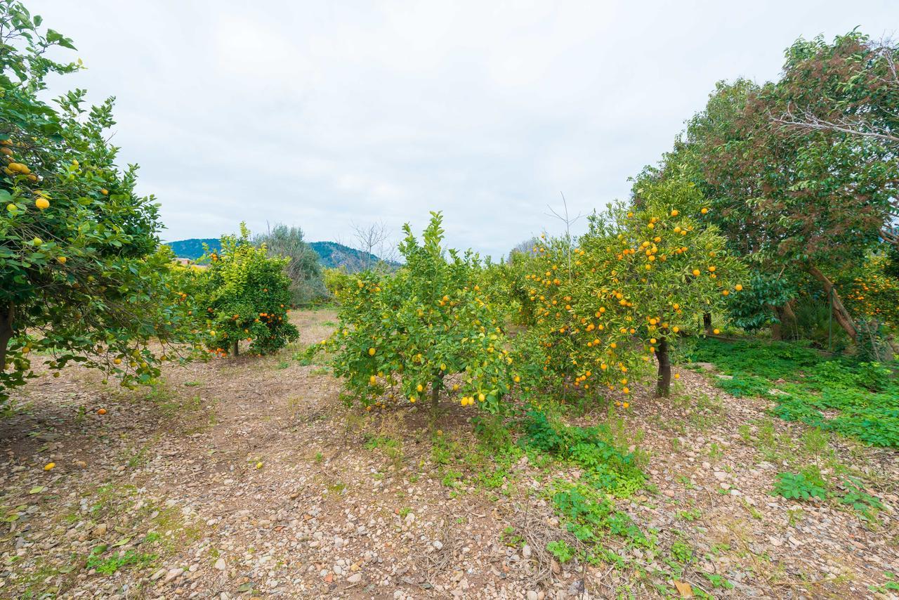 Can Raia Sóller Exteriör bild